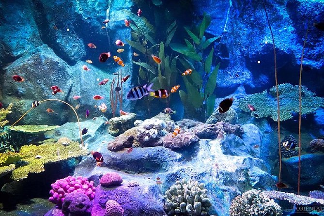Skip the Line: Pattaya Underwater World - Good To Know