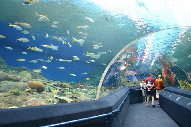 Skip-the-Line Underwater World Pattaya Ticket