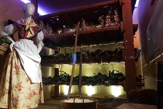 Skip the Line: Valencia Silk Museum Ticket Entrance - Overview and What To Expect