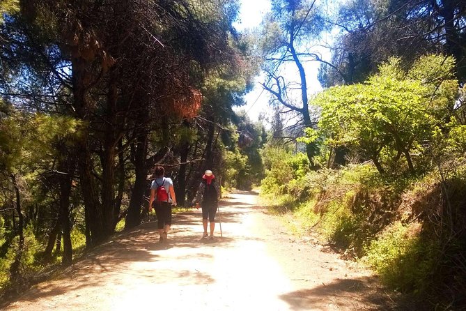 Skopelos Guided Hike From Hilltop to Beach With Swim Stop  - Greece - Good To Know