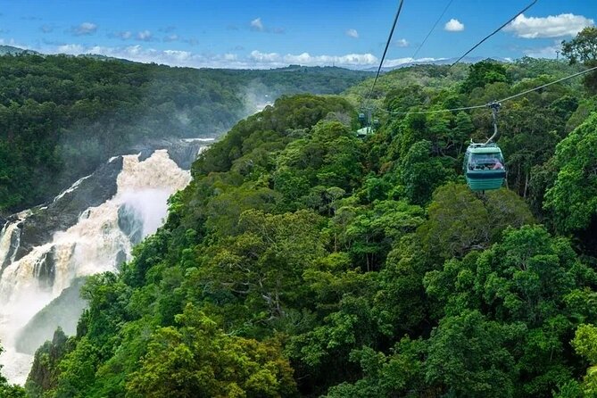 SKYRAIL CABLEWAY TRANSFER Between Port Douglas & SKYRAIL (Return)