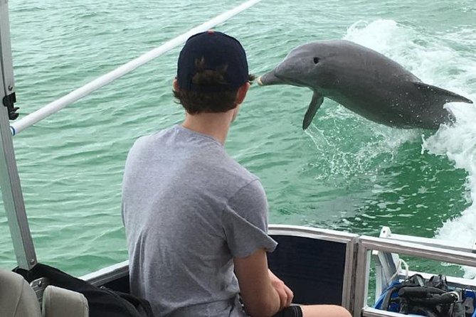 Small Group 2 Hour Dolphin Cruise With Snorkeling to Shell Key