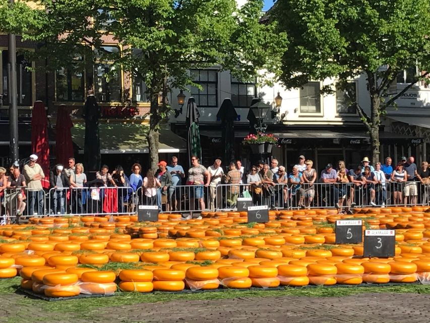 Small Group Alkmaar Cheese Market and City Tour