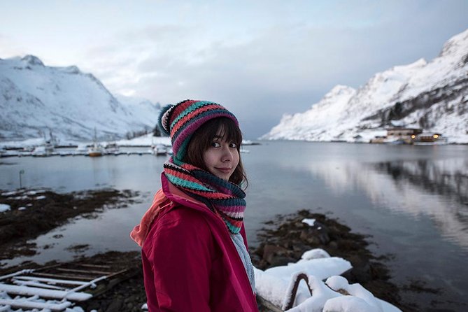Small-Group Arctic Sightseeing Tour With Citizen Science From Tromso