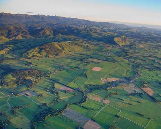 Small-Group Beekeeping Experience in Tauherenikau