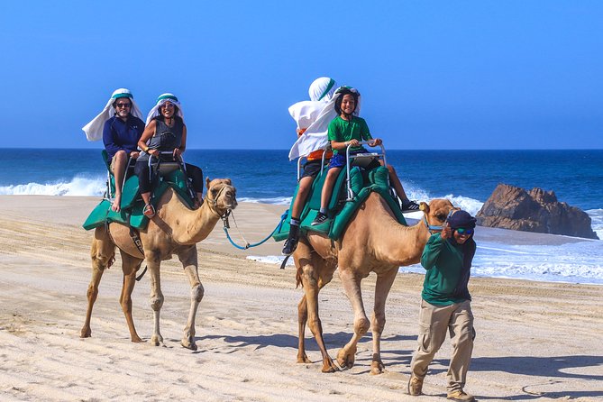 Small-Group Camel Riding on the Beach in Cabo San Lucas  – San Jose Del Cabo