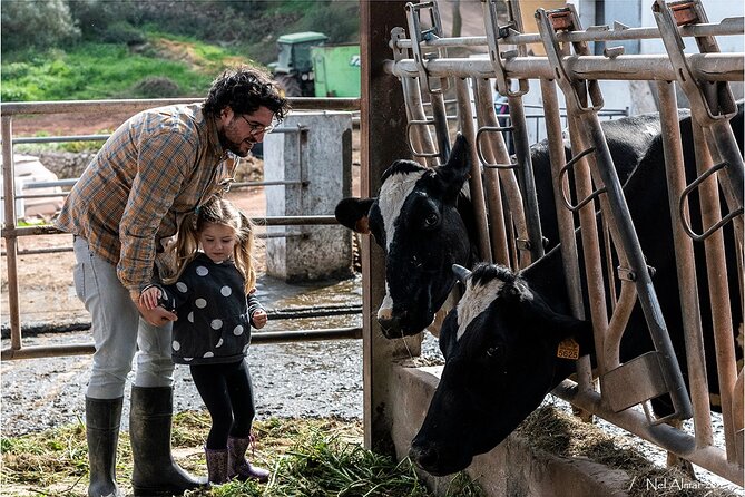 Small Group Cheese Making and Tasting From the Island of Baleares - Activity Details