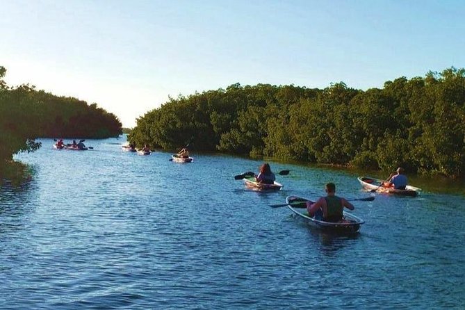 Small-Group Clear Kayak Tour in Shell Key - Good To Know
