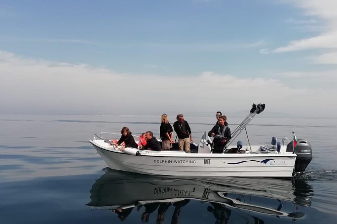Small Group Dolphin and Wildlife Watching Tour in Faro - Good To Know
