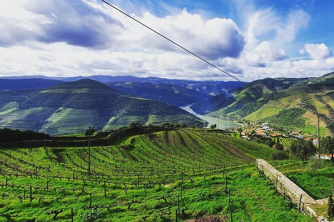 Small Group Douro Wine Valley Tour With Lunch and Wine Tasting - Tour Highlights