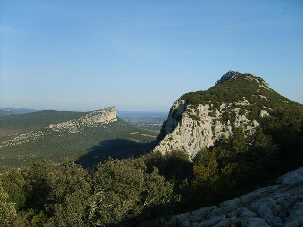 Small-Group Half-Day Languedoc Pic Saint-Loup Wine Tour From Montpellier