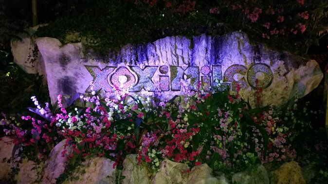 Small-Group Half-Day Nighttime Trajineras Cruise in Cancun - Tulum