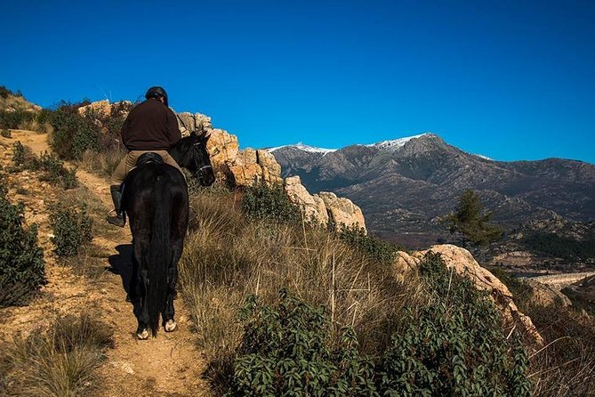 Small-Group Horseback Riding Tour of Sierra De Guadarrama  - Madrid - Good To Know
