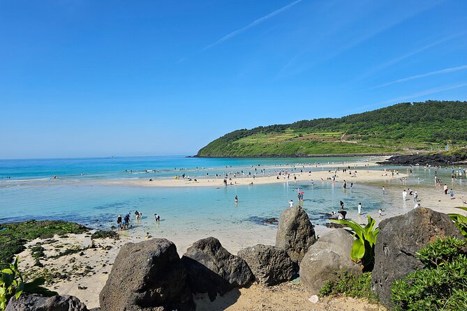 Small Group Jeju Private Full-Day Tour of East and South and West