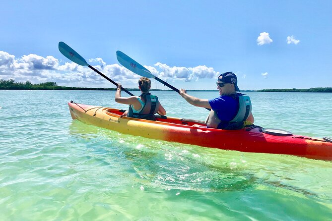 Small Group Kayak Tour of the Shell Key Preserve - Good To Know