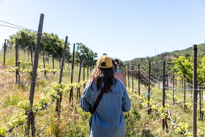 Small-Group Malibu Wine Hike - Good To Know