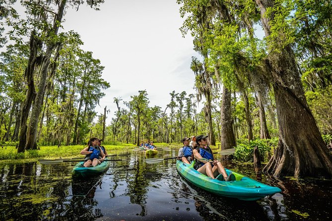 Small-Group Manchac Magic Kayak Swamp Tour With Local Guide - Good To Know