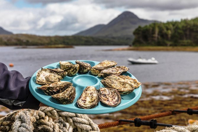 Small Group Oyster Tour and Tasting at Ballinakill Bay With David