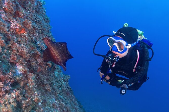 2 Best Scuba Diving Experiences In Figueres