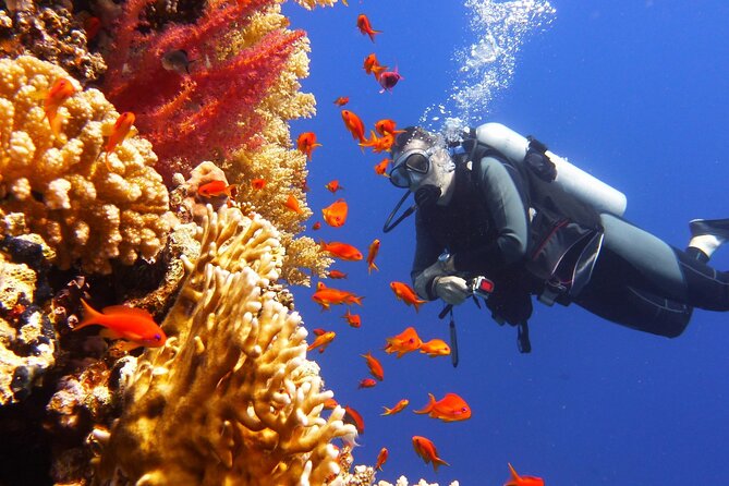 Small Group Scuba Diving Experience in Maiton Private Island
