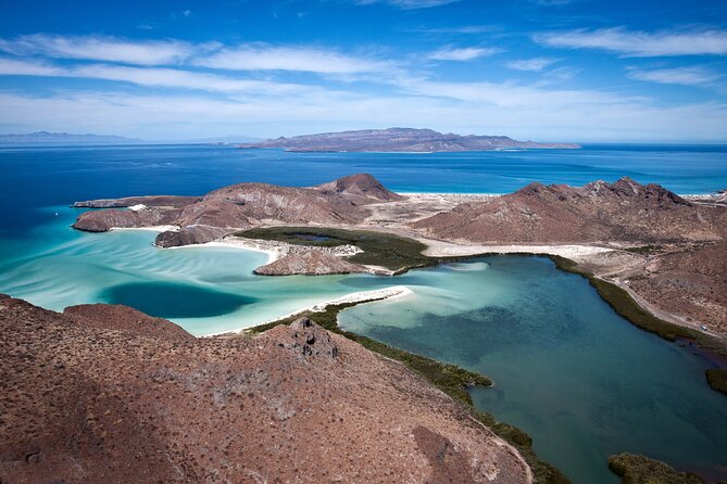 Small Group Sea Lions & Paddleboard Tour - Balandra Beach
