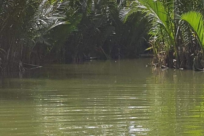 Small Group Shore Excursion to Row Basket Boat - Hoi An Ancient City - Foot Bath - Cancellation Policy