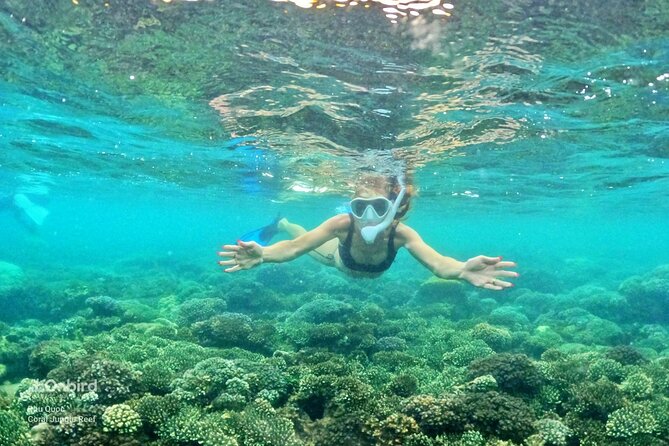 [Small-Group] SNORKELING & SUNSET MEAL at Private Beach-Max 9 PAX - Pricing and Availability