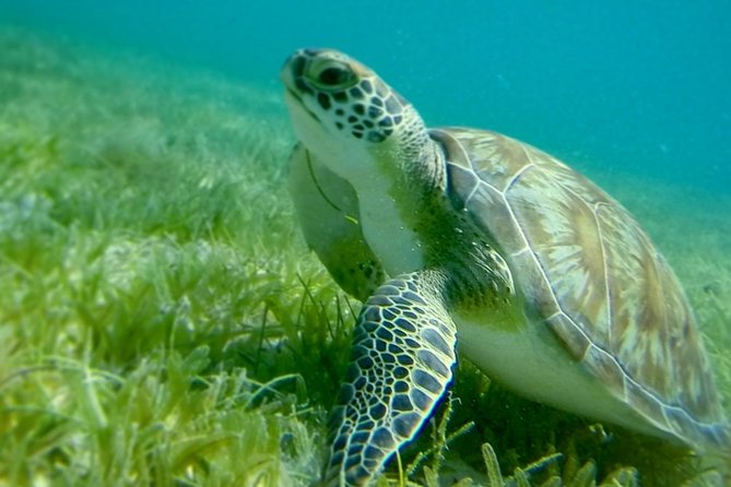25 Best Sailing Experiences In St Thomas