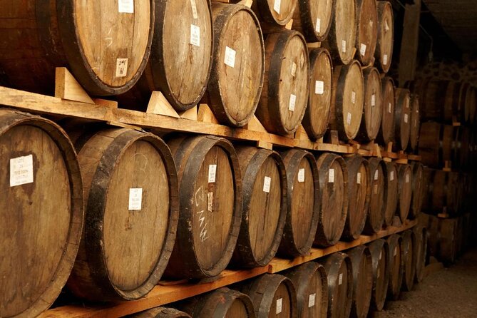 Small Group Tequila City Tour and Tasting From Guadalajara