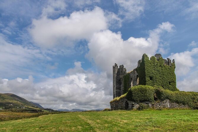 7 Best Tours In Ring of Kerry
