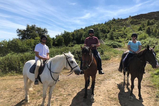 Small-Group Wicklow and Glendalough Day Tour From Dublin With Horse-Back Riding - Tour Details and Inclusions