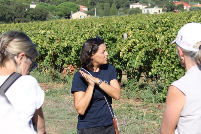 Small Group Wine Tour in the Vineyards of the Gulf of St-Tropez