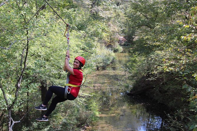 Small-Group Zipline Tour in Hot Springs