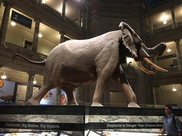 Smithsonian Natural History American History - Exclusive Tour