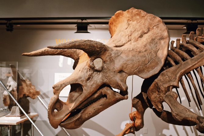 Smithsonian Natural History American History Semi-Private Tour