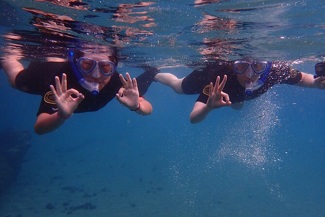 Snorkel Experience in Lanzarote