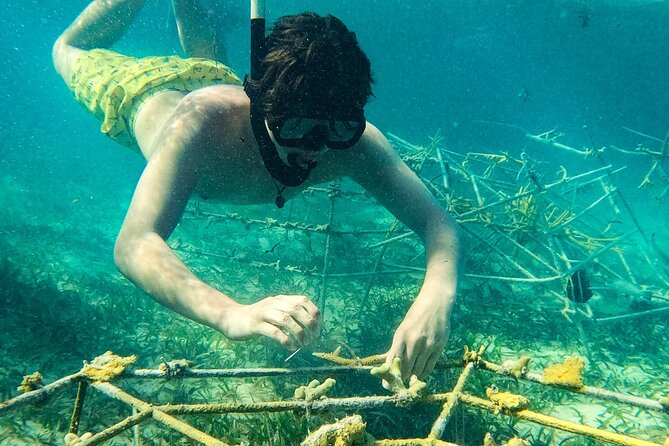 Snorkel Lovers Seafood Slide Catamaran-Family Friendly