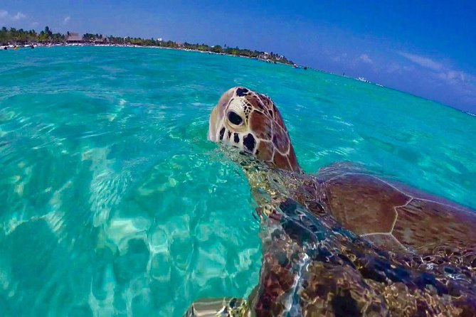 25 Best Tours In St Thomas