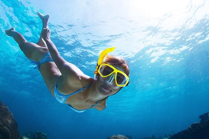 Snorkel Tour - San Jose Del Cabo