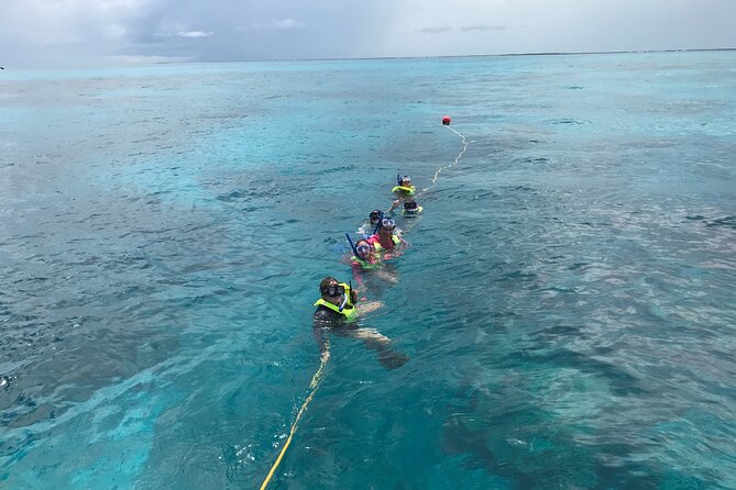Snorkel Tours of the Key Largo Reef for up to 6 People - Good To Know