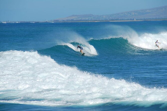 Snorkel With Sharks on the North Shore of Oahu - Good To Know