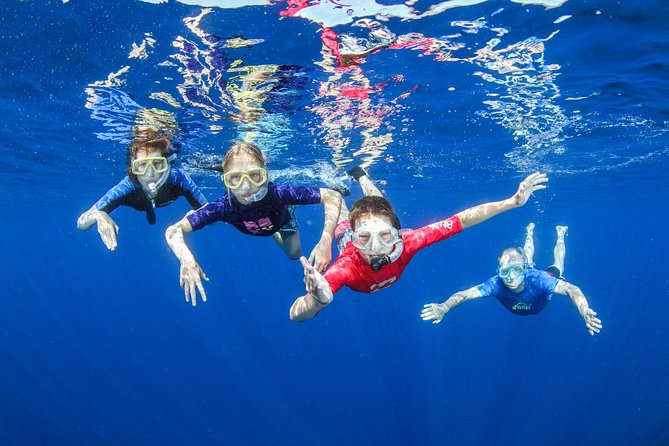 Snorkeling and Boat Tour in Crete - Good To Know