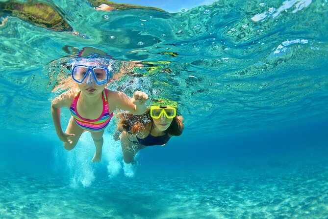 Snorkeling and Dolphin Watching Experience in Destin