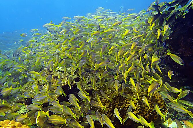 Snorkeling Day Around Koh Phangan