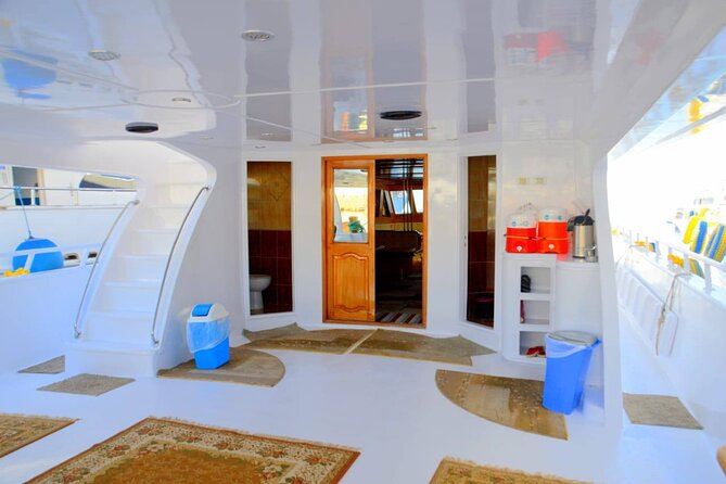 Snorkeling Day To White Island And Ras Mohamed By VIP Boat-Sharm - Good To Know