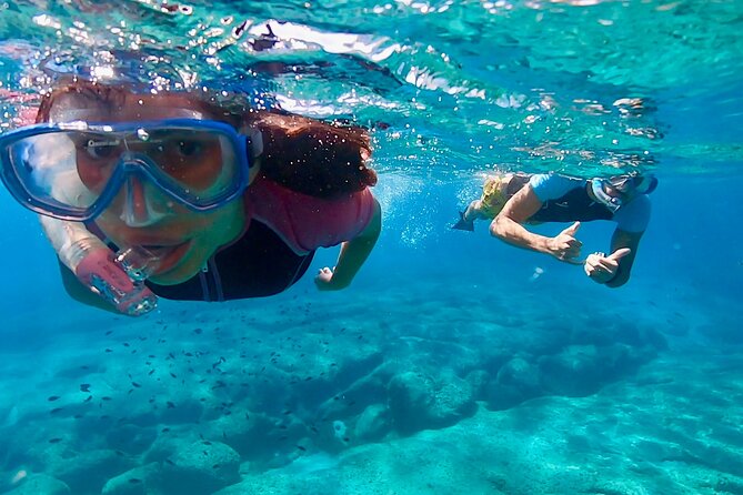 Snorkeling Experience to Discover the Dolphin Inside You!