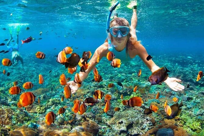 Snorkeling & Sunset BBQ Dinner In Phu Quoc Island Tour - Tour Overview