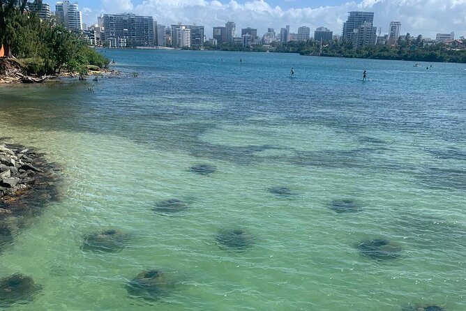 Snorkeling Tour Experience at Condado Lagoon - Tour Highlights