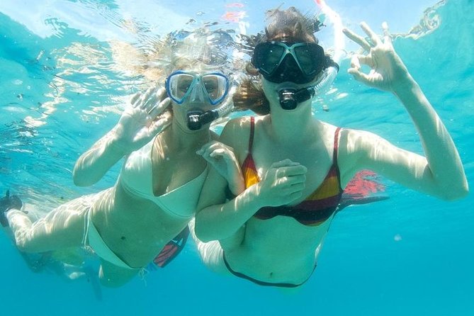 Snorkeling Tour to the Malgrats Islands by Boat - Good To Know