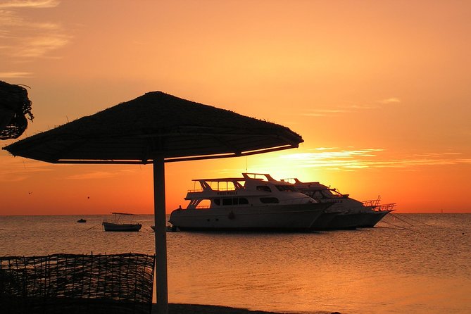 Snorkeling Trip to the White Island & Ras Mohammed - Good To Know